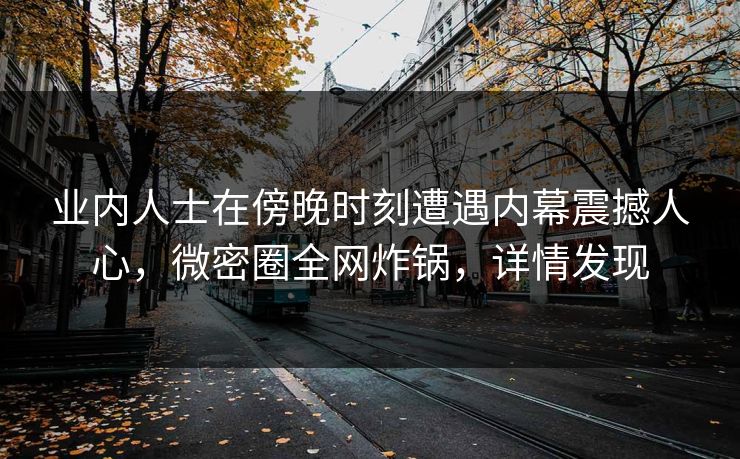 业内人士在傍晚时刻遭遇内幕震撼人心，微密圈全网炸锅，详情发现