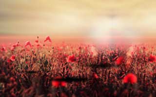 你用51网总觉得不顺？大概率是效率提升没对上（建议收藏）