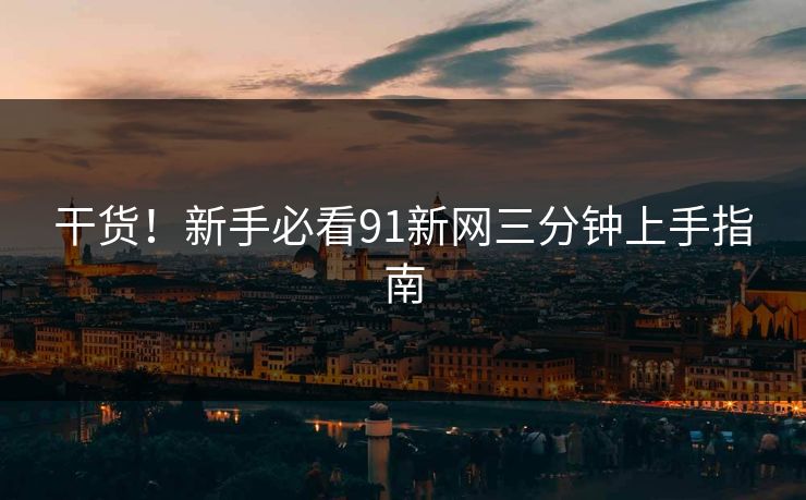 干货！新手必看91新网三分钟上手指南