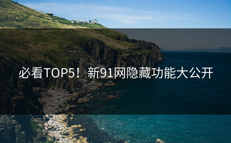 必看TOP5！新91网隐藏功能大公开