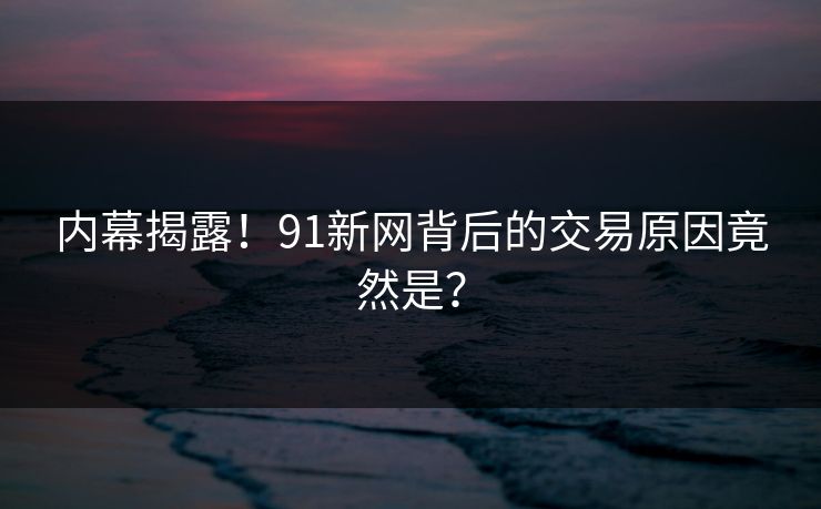 内幕揭露！91新网背后的交易原因竟然是？
