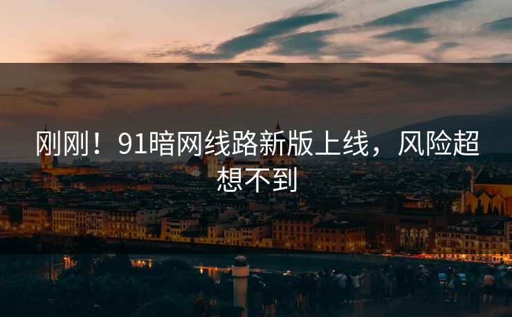 刚刚！91暗网线路新版上线，风险超想不到