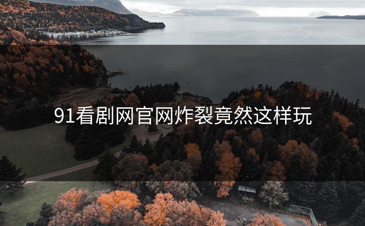 91看剧网官网炸裂竟然这样玩
