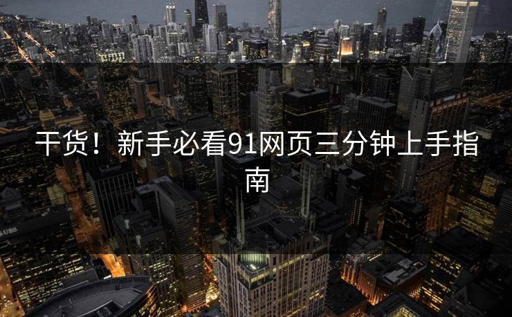 干货！新手必看91网页三分钟上手指南