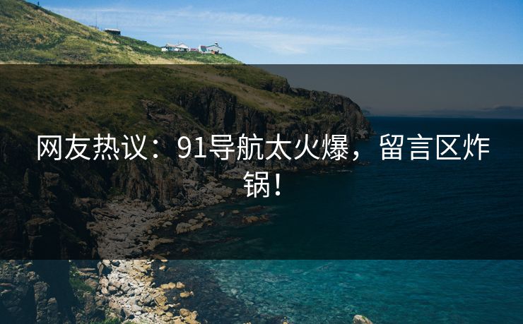 网友热议：91导航太火爆，留言区炸锅！