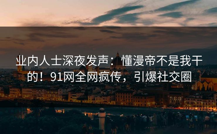 业内人士深夜发声：懂漫帝不是我干的！91网全网疯传，引爆社交圈