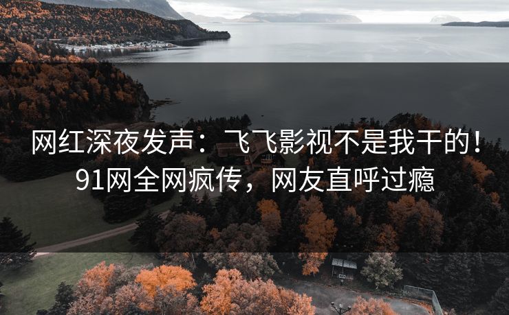 网红深夜发声：飞飞影视不是我干的！91网全网疯传，网友直呼过瘾