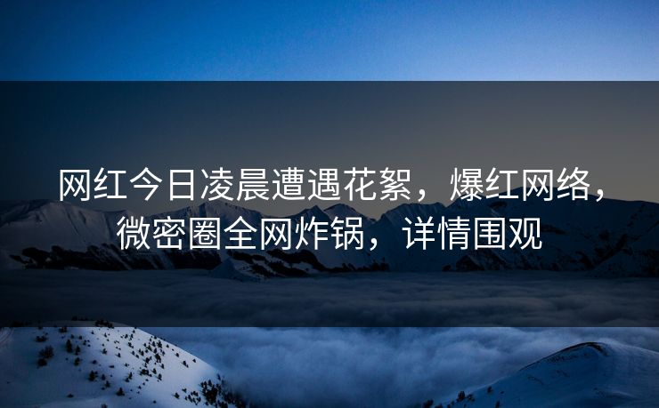 网红今日凌晨遭遇花絮，爆红网络，微密圈全网炸锅，详情围观