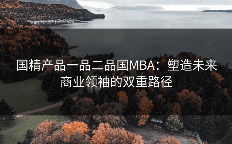 国精产品一品二品国MBA：塑造未来商业领袖的双重路径