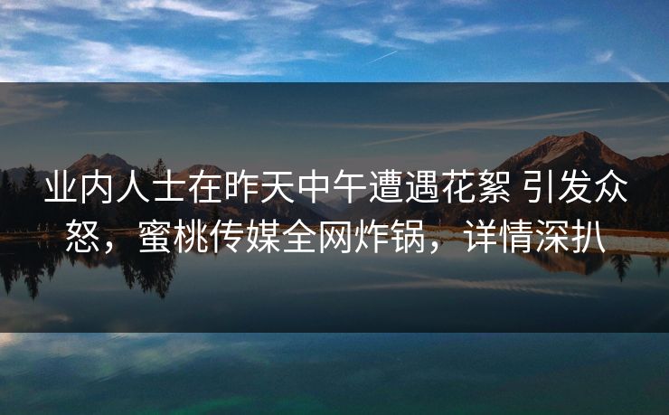 业内人士在昨天中午遭遇花絮 引发众怒,蜜桃传媒全网炸锅,详情深扒 业内人士在昨天中午遭遇花絮 引发众怒,蜜桃传媒全网炸锅,详情深扒